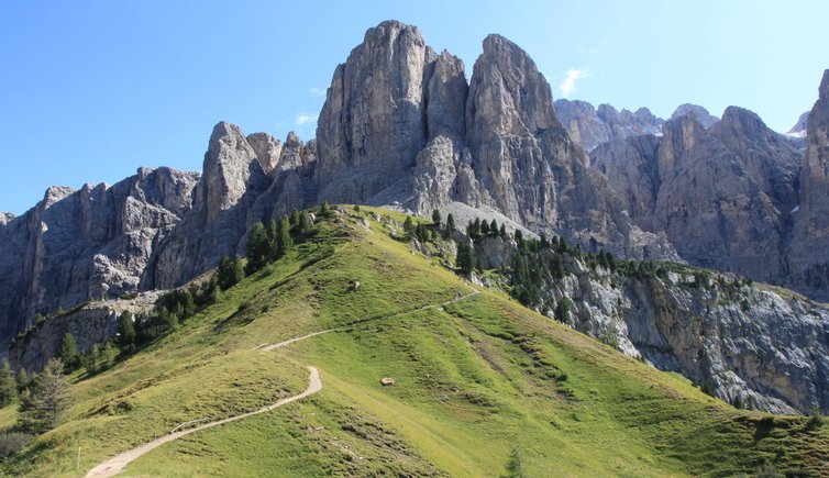 course_image