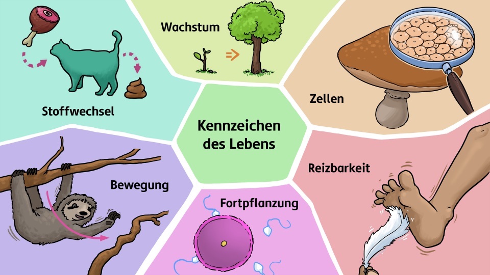 course_image