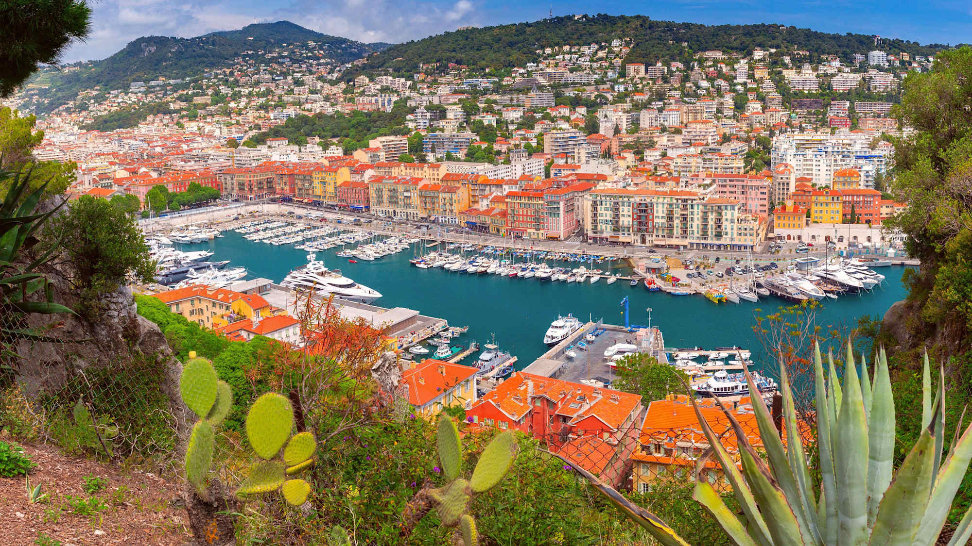 course_image