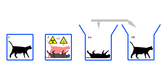 course_image