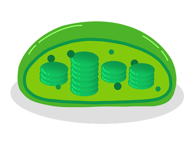 course_image