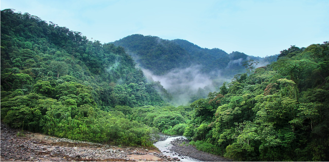 course_image